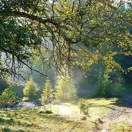 Spravzhnya Kazka Podobovets