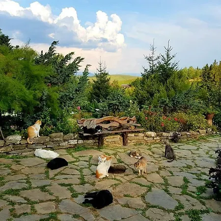 Spravzhnya Kazka Podobovets